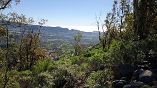 GC-Mirador Las Tirajanas (Tunte) 2026-08.jpg